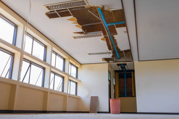Best Carpet water damage restoration  in Berry College, GA