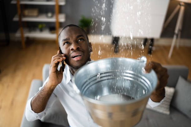 Best Water damage restoration cost  in Berry College, GA