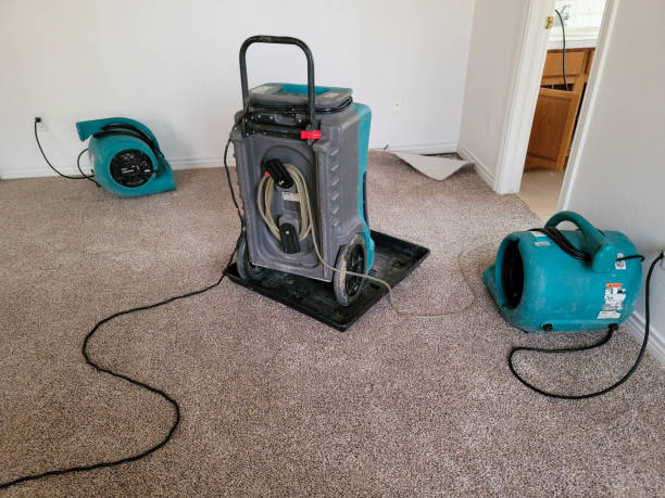 Best Flooded house restoration  in Berry College, GA