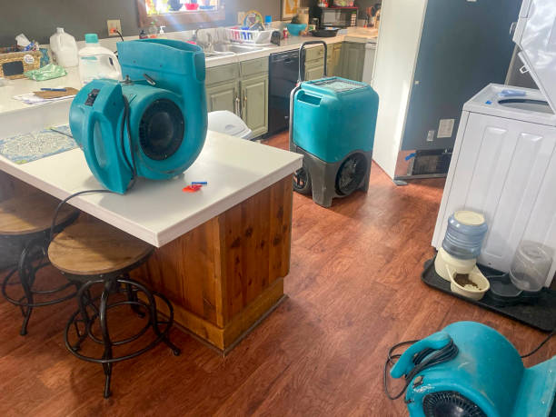 Best Commercial water damage restoration  in Berry College, GA