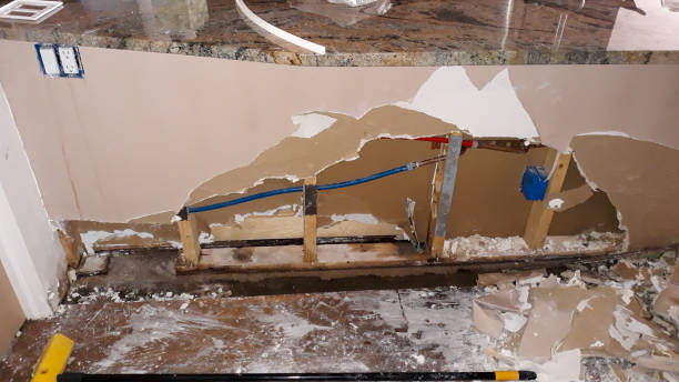 Best Basement water damage restoration  in Berry College, GA