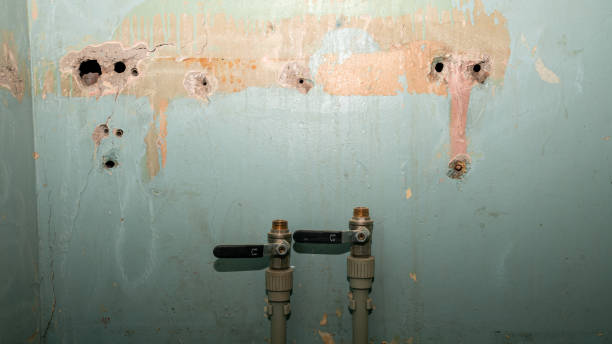 Best Local water damage restoration  in Berry College, GA