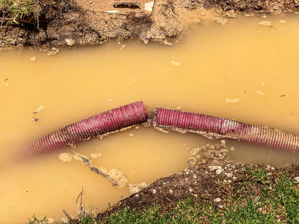 Best Flood restoration services  in Berry College, GA