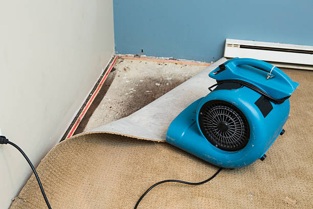Best Professional water damage repair  in Berry College, GA
